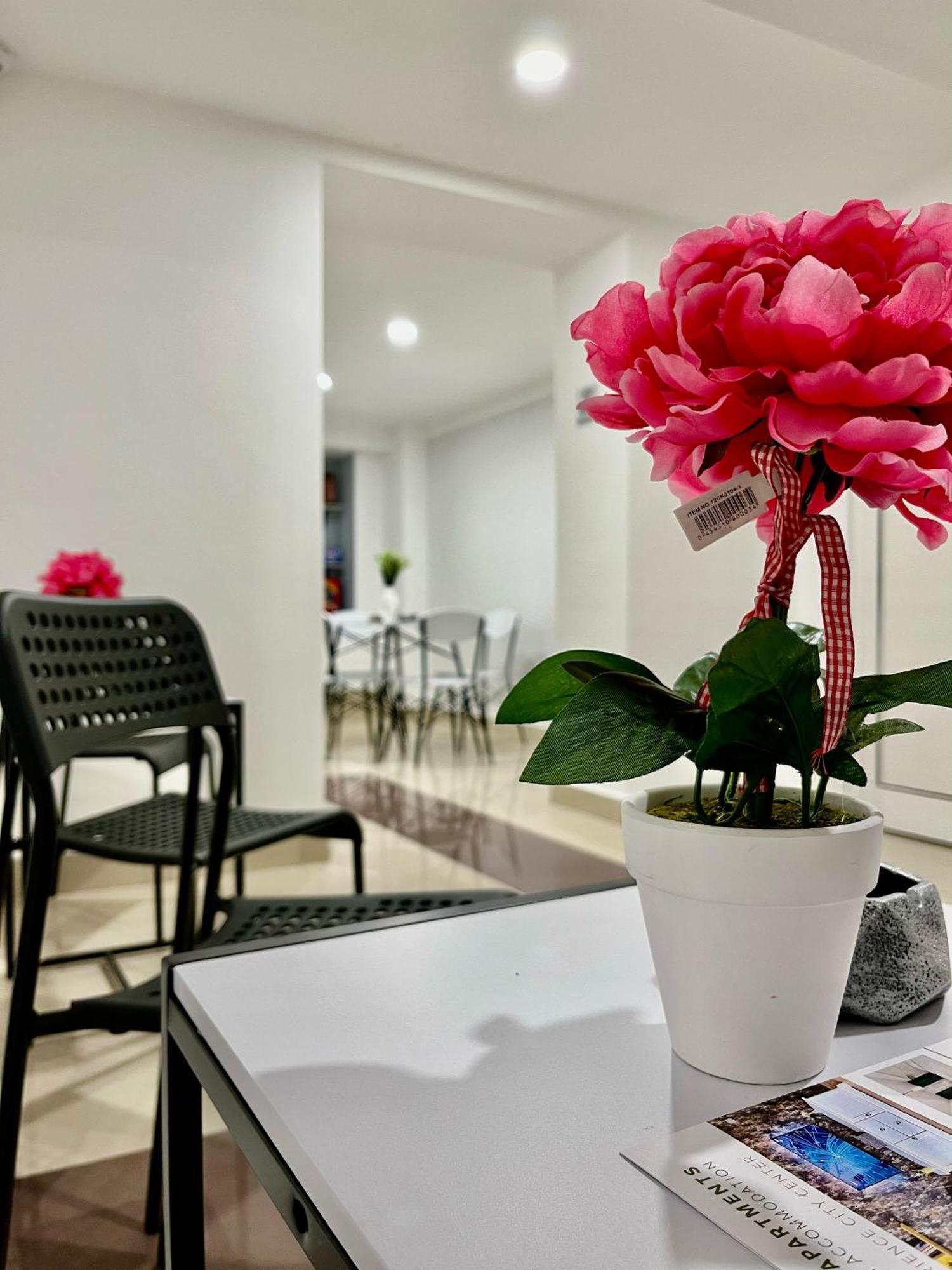 Cozy Hideout - Condo Hotel ทิมิชัวรา ภายนอก รูปภาพ